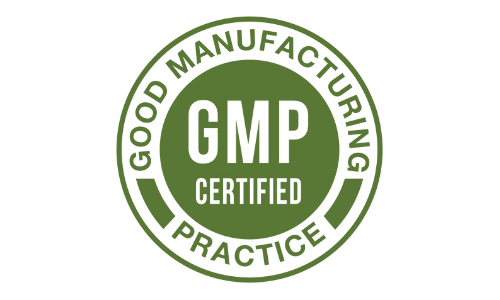 GMP Certified The Brain Song